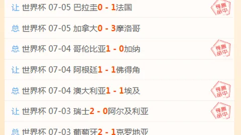 世界杯买球软件 110324 8
